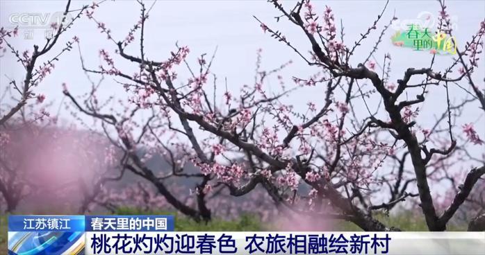 “春赏花、夏采果”农旅互促模式构建新生态 乡村振兴“新”图景正渐次展开