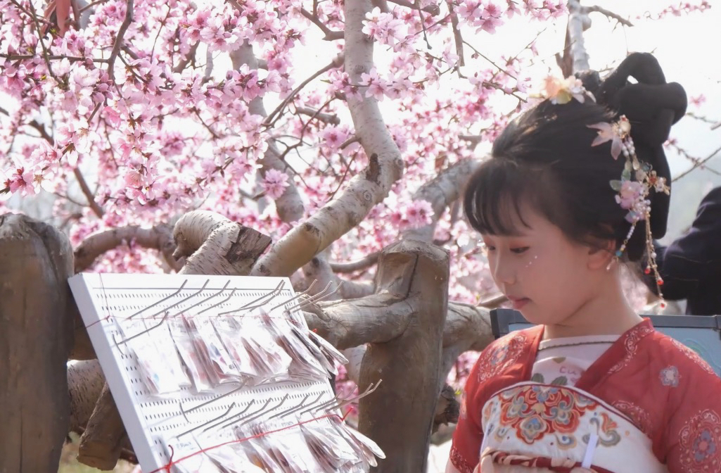 身着汉服的小朋友在桃树下驻足。赵婧然摄