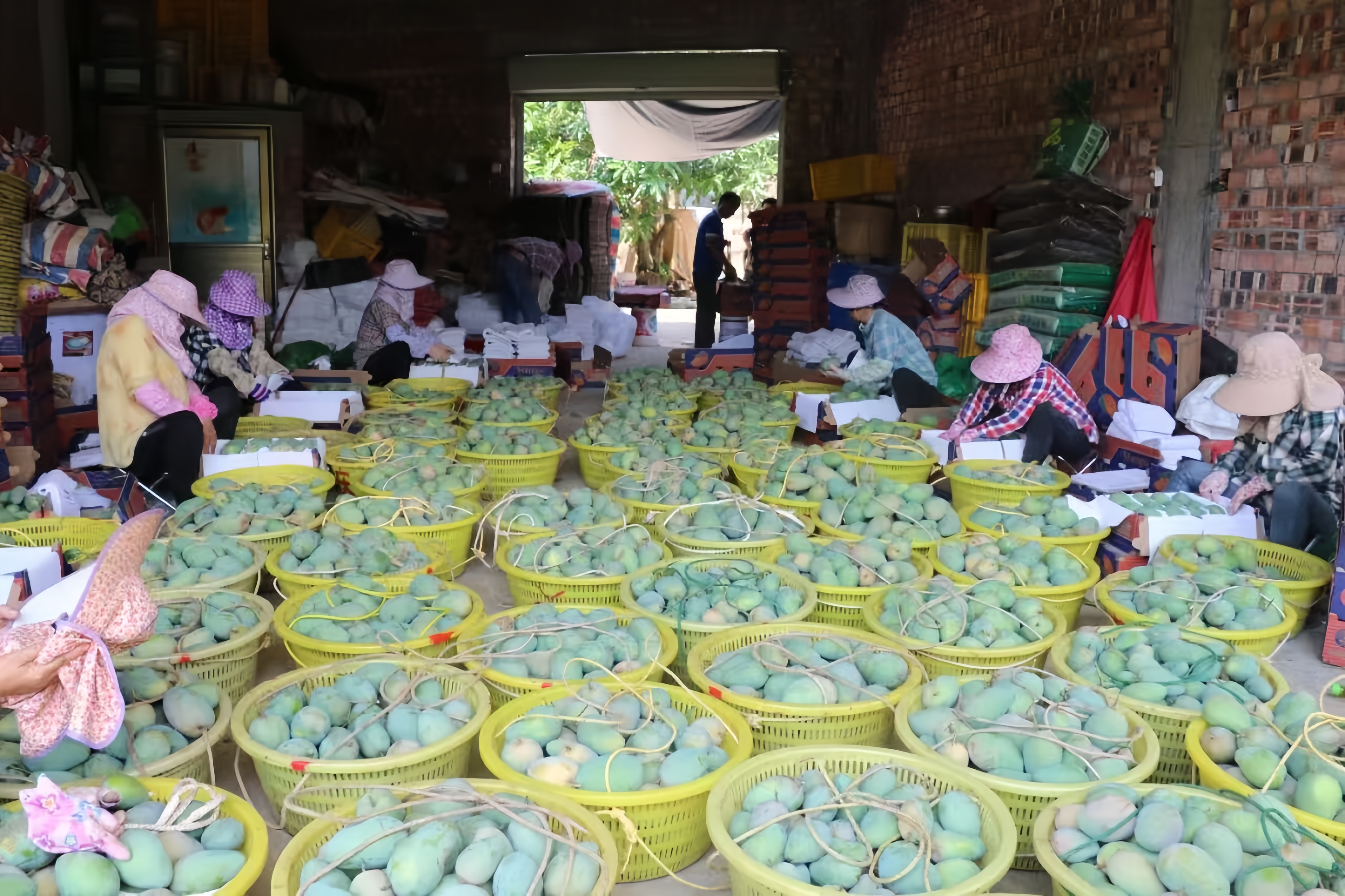 广西携桂品首秀三大农食博览会