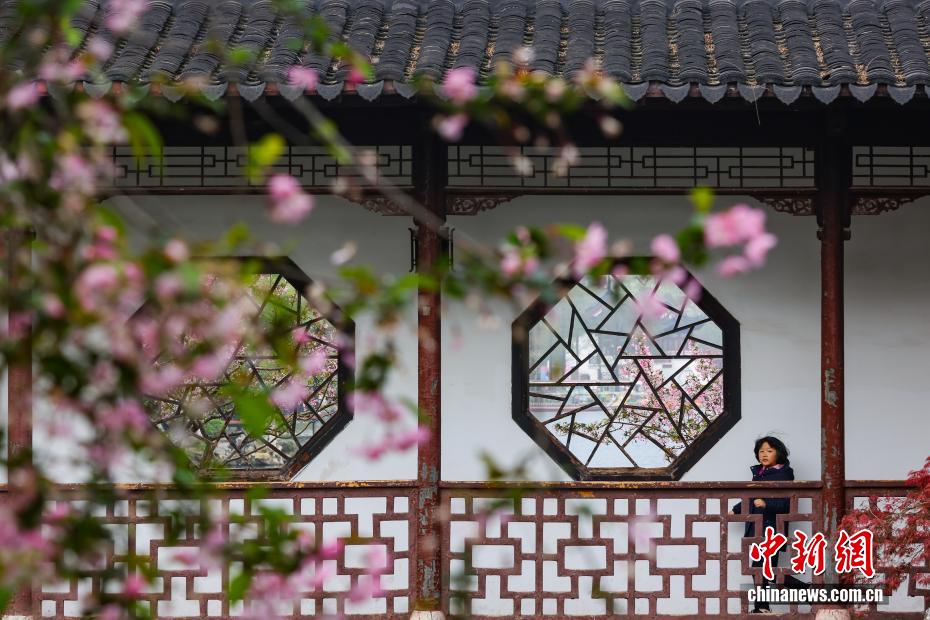 南京：江南古典名园花红柳绿春光正好