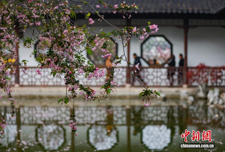 南京：江南古典名园花红柳绿春光正好