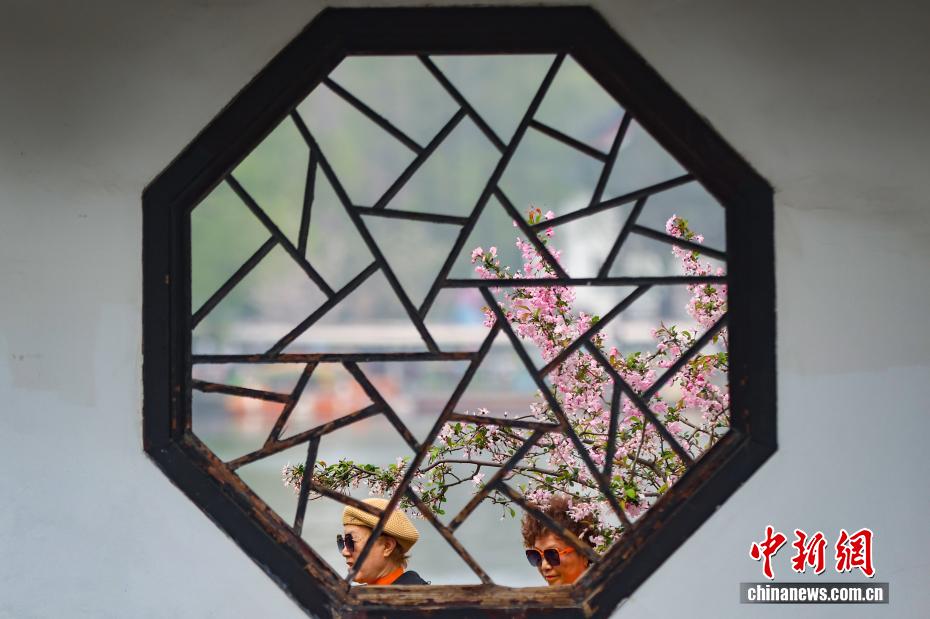 南京：江南古典名园花红柳绿春光正好