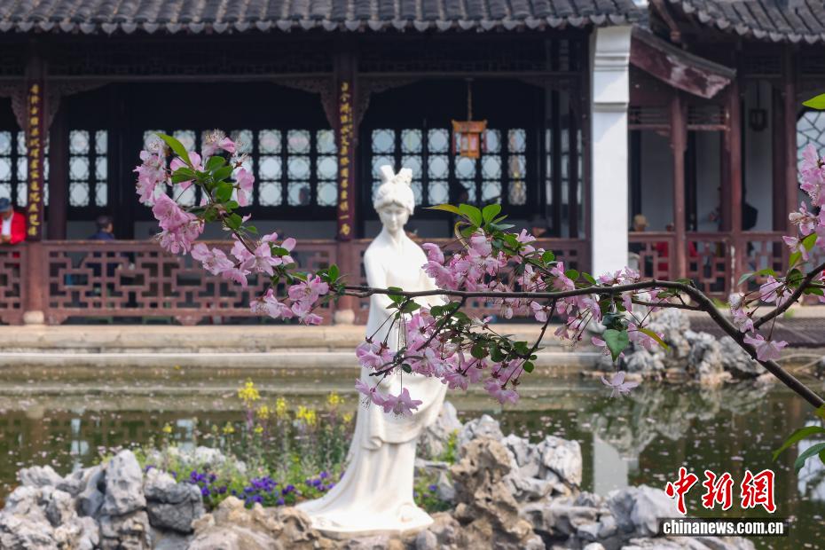 南京：江南古典名园花红柳绿春光正好