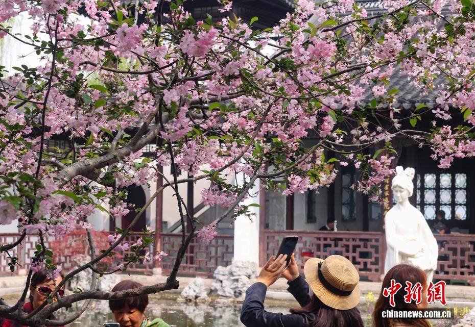 南京：江南古典名园花红柳绿春光正好