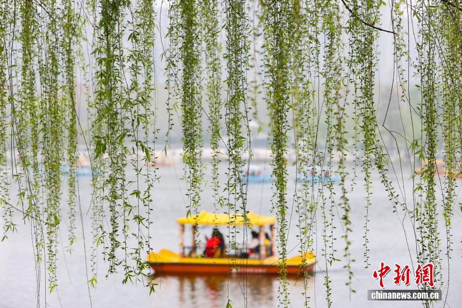 南京：江南古典名园花红柳绿春光正好