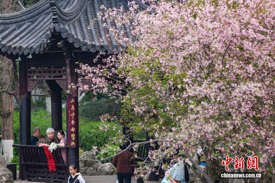南京：江南古典名园花红柳绿春光正好