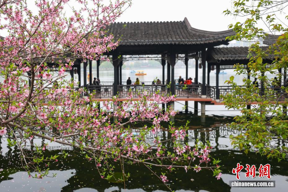 南京：江南古典名园花红柳绿春光正好