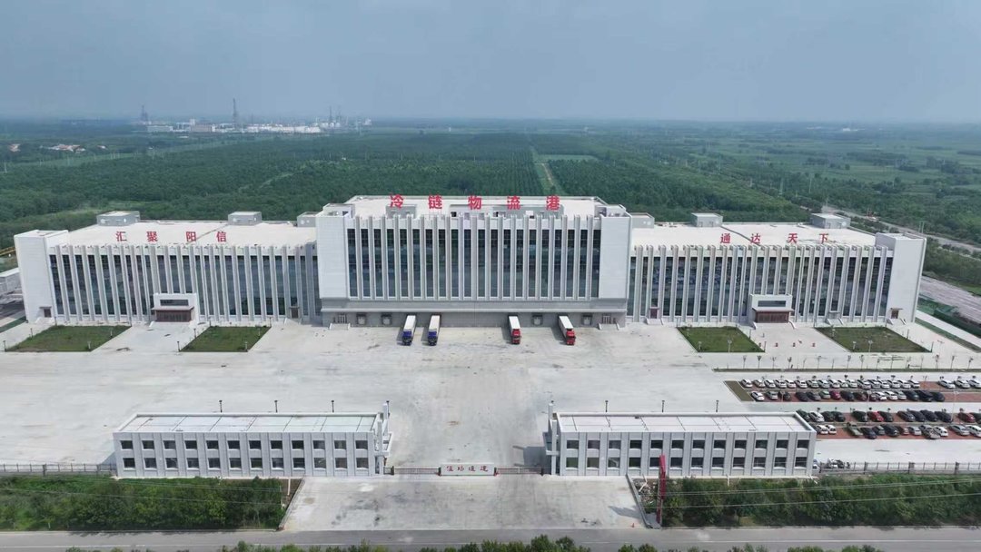 2026阳信媒体行 | 汇阳通达冷链物流港：冷链赋能强链，织就阳信牛产业“全球通”纽带