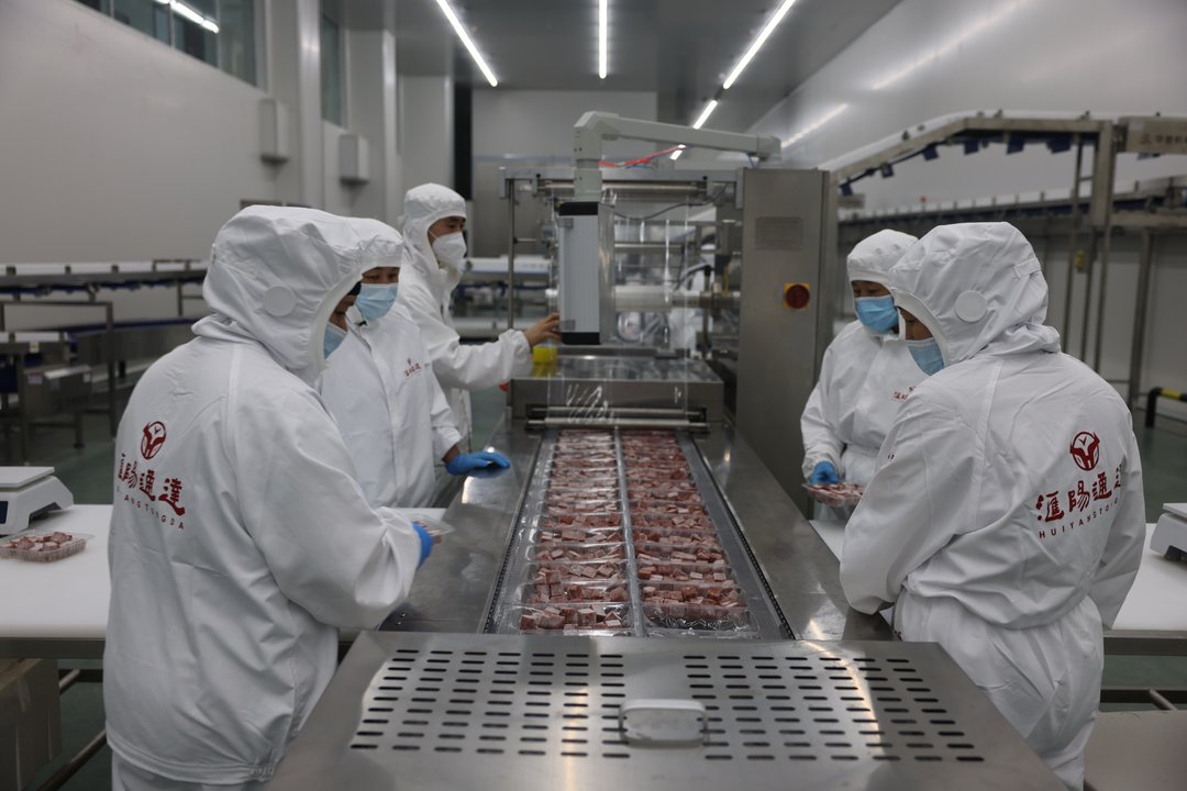 2026阳信媒体行 | 汇阳通达冷链物流港：冷链赋能强链，织就阳信牛产业“全球通”纽带