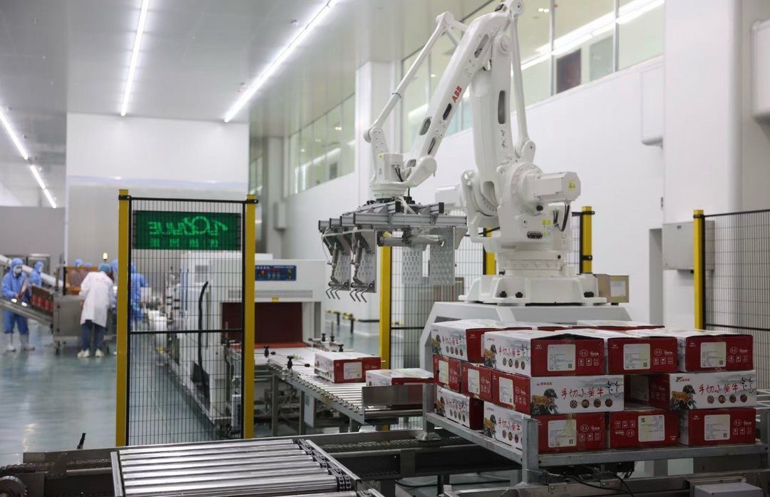 2026阳信媒体行 | 汇阳通达冷链物流港：冷链赋能强链，织就阳信牛产业“全球通”纽带