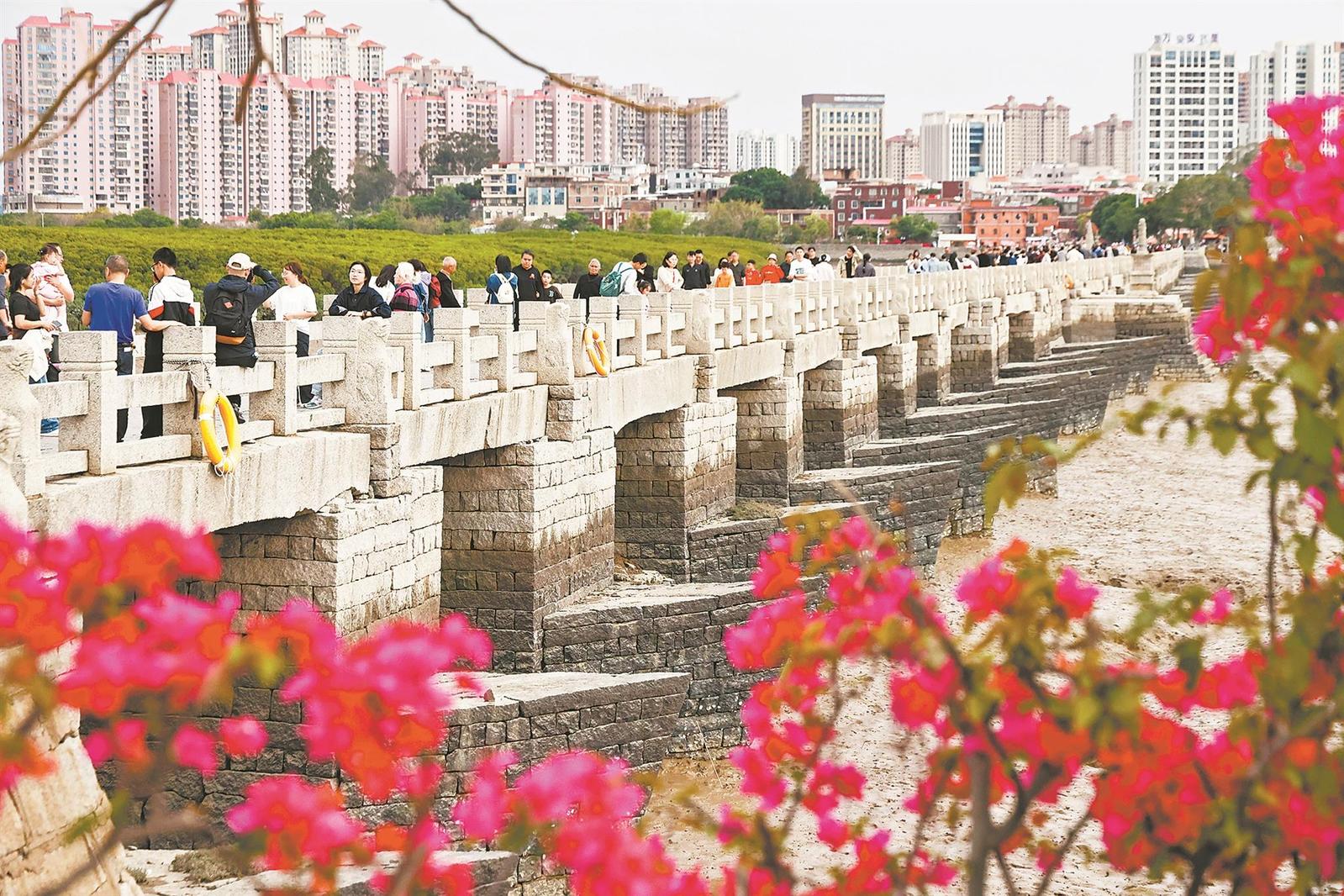 清明踏春世遗热洛阳桥畔揽春光