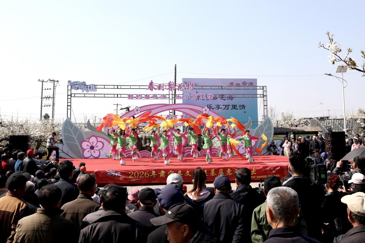 梨花绽春野 河北肃宁梨花文化大集绘就乡村文旅新图景