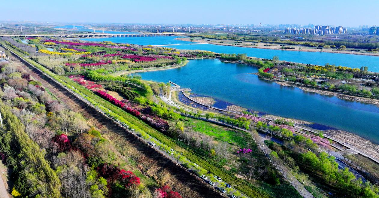 镜头里的河北石家庄：春和景明花正好