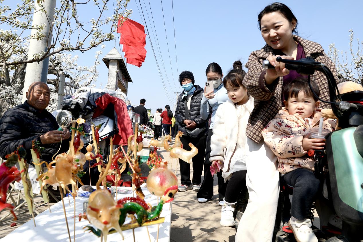 梨花绽春野 河北肃宁梨花文化大集绘就乡村文旅新图景
