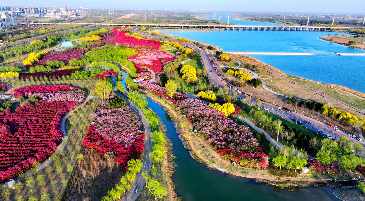 镜头里的河北石家庄：春和景明花正好