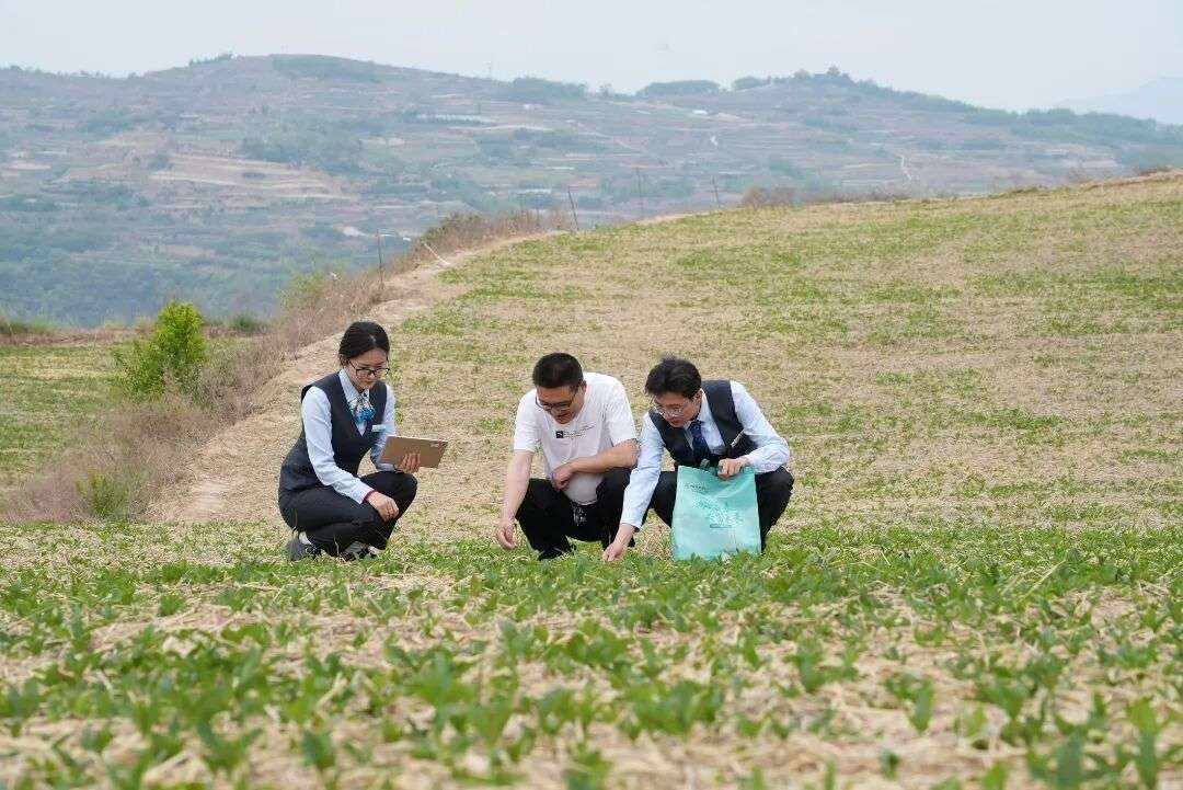 农行陇南分行洒金融“甘霖”润春耕