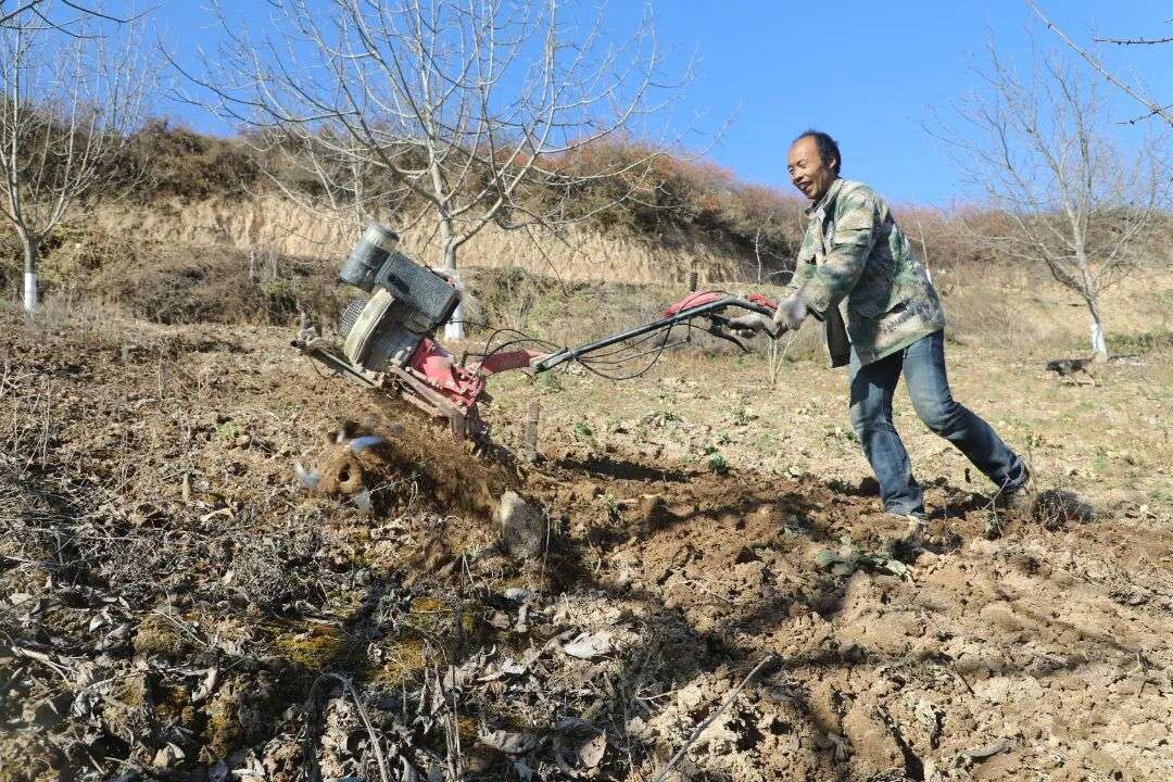 农行陇南分行洒金融“甘霖”润春耕