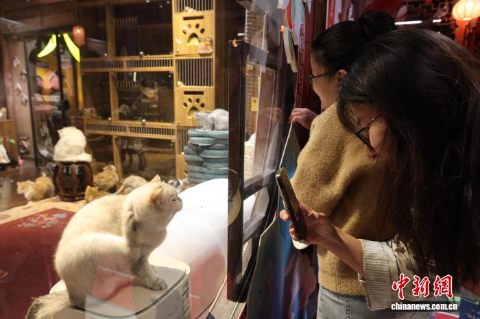 跟着旅拍镜头 解锁“宝藏山东”新体验