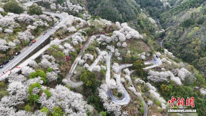 文旅观察:年轻人“反向赏花” 浙江县域乡村如何突围?