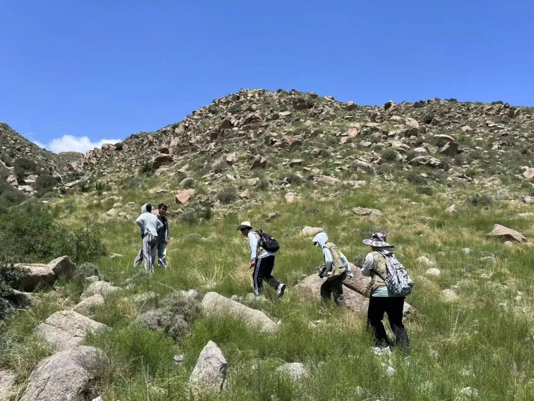 塞上寻珍·四普风采丨田瑞:深耕文保一线 以创新实干守护历史根脉