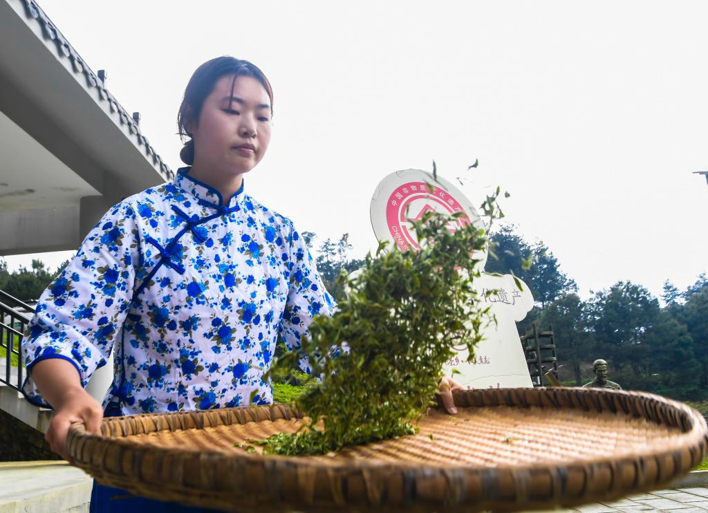 重庆丰都:千年茶乡抢春时 重庆丰都:千年茶乡抢春时