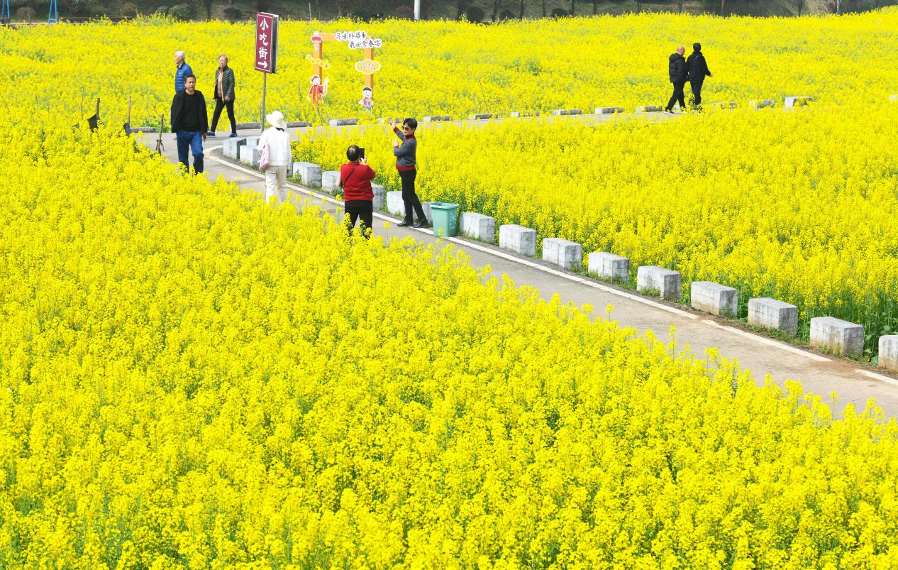 一朵花如何“生金”?——湖北咸宁细算“三本账” 一朵花如何“生金”?——湖北咸宁细算“三本账”