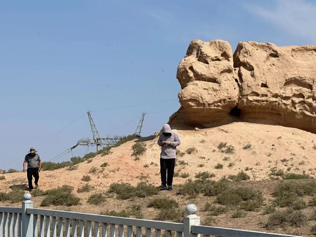 塞上寻珍·四普风采丨利通区:足迹印在田野间