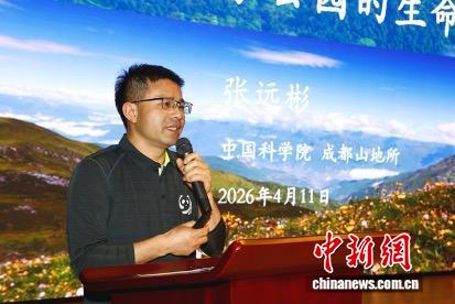 以熊猫为纽带 “川渝生态共赏·熊猫文化联动”系列活动启幕