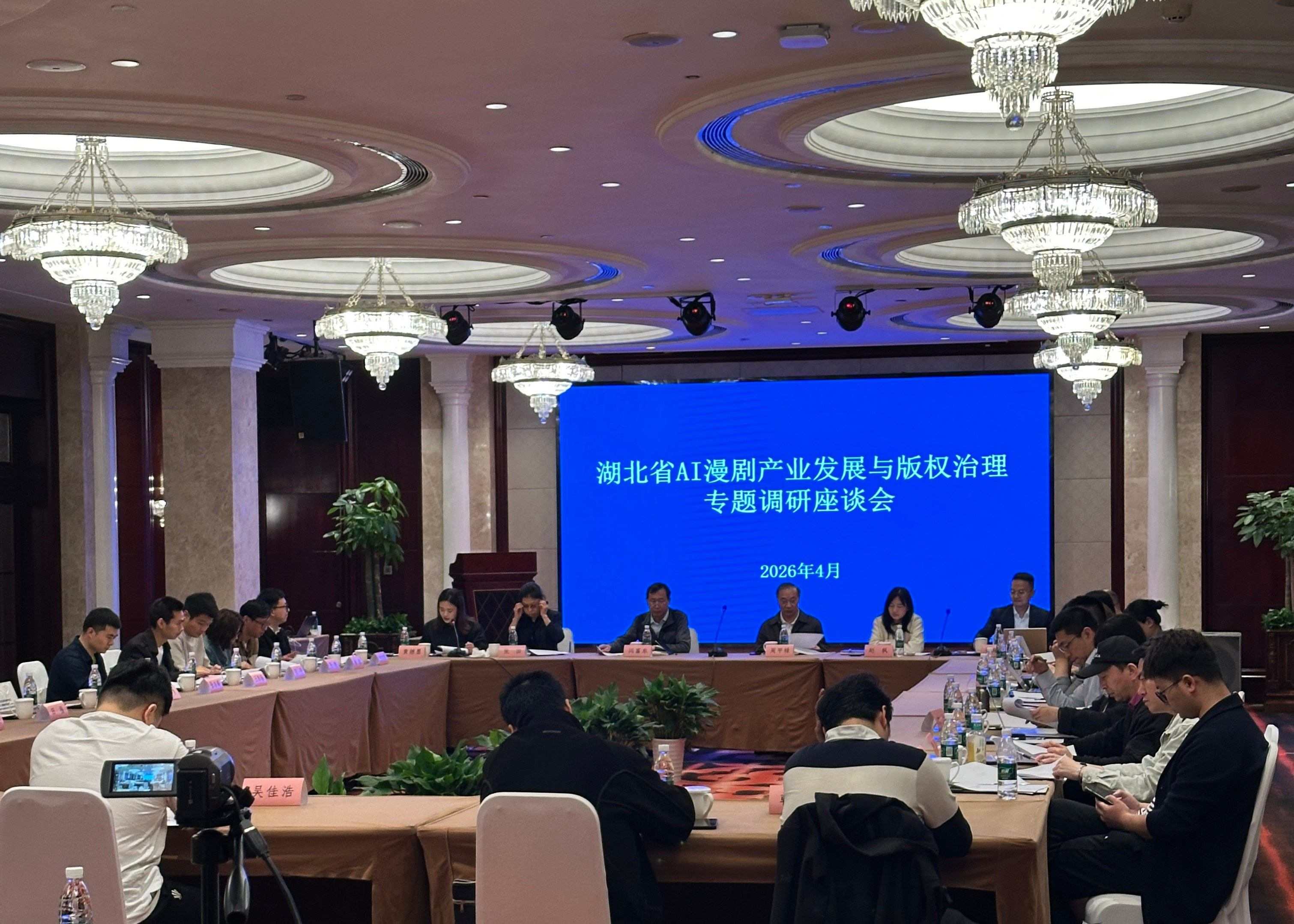 湖北首次调研座谈 护航AI漫剧产业行稳致远 座谈会上专家和企业代表踊跃发言(主办方供图)