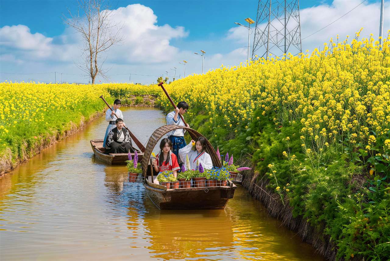 武汉生物工程学院首届油菜花节开幕