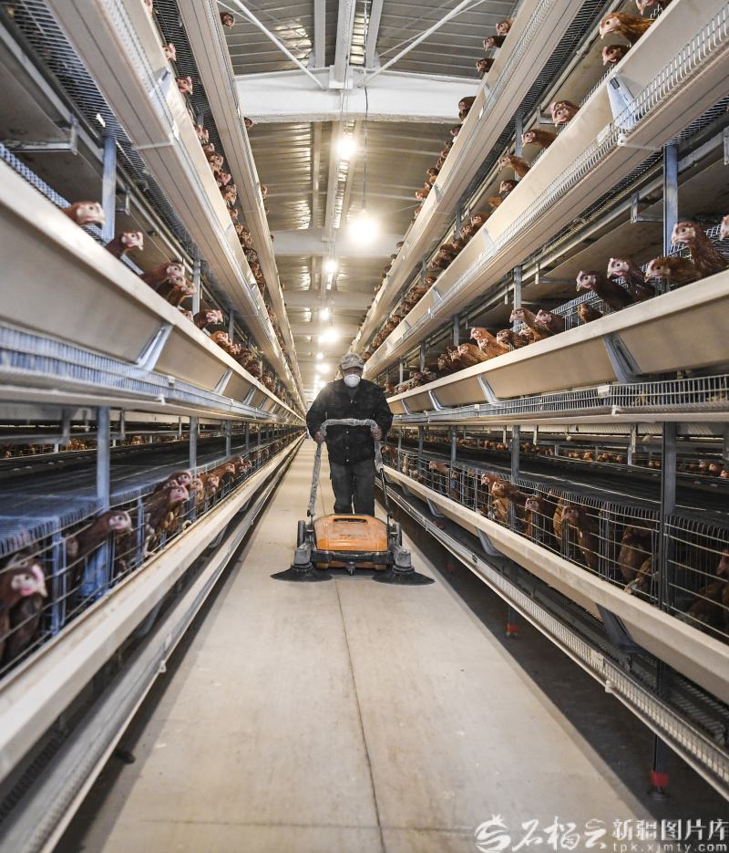 新疆影像7日(222)丨万象争春