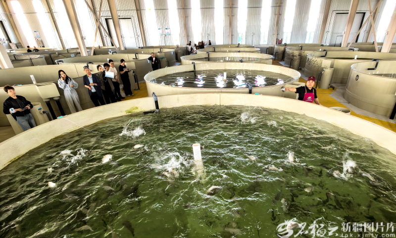 新疆影像7日(222)丨万象争春