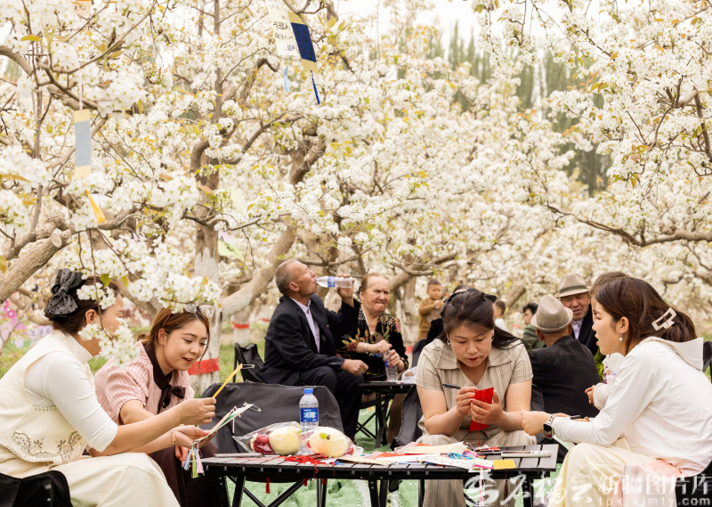 新疆影像7日(222)丨万象争春