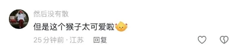 掉裤衩的猴宝回应啦!《裤衩之歌》同步发布!