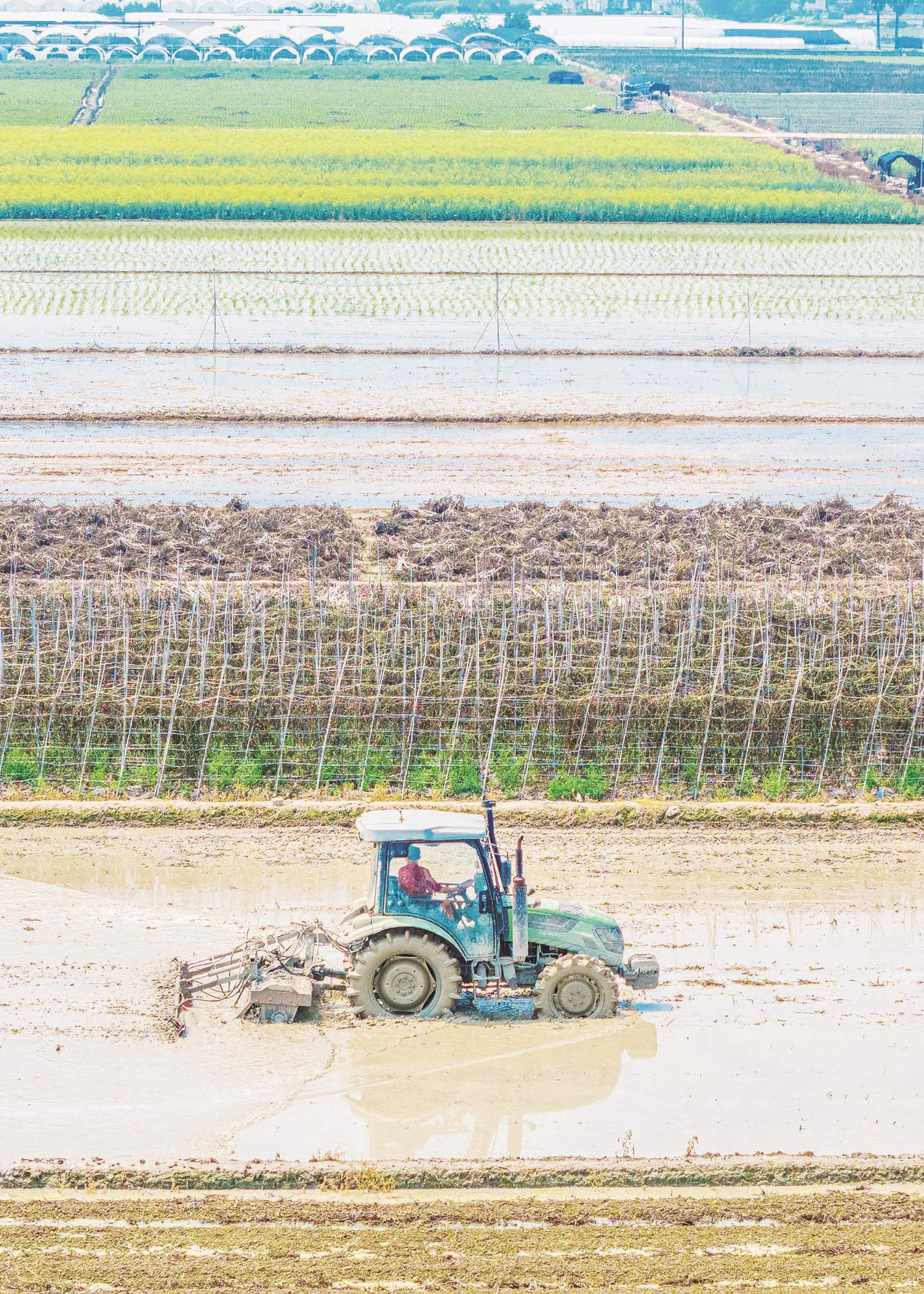 压实生产任务、强化农机保障、加码政策扶持——漳州市春季农业生产有序推进 压实生产任务、强化农机保障、加码政策扶持——漳州市春季农业生产有序推进