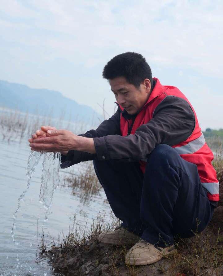 绿上新枝 岸生新景｜重庆丰都：守着江岸种春天