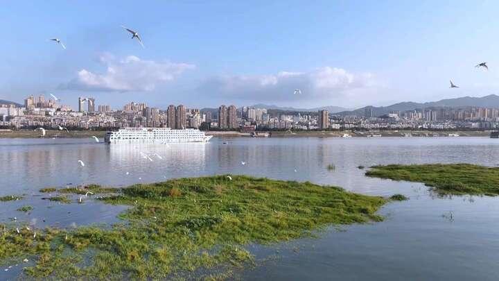 绿上新枝 岸生新景｜重庆丰都：守着江岸种春天