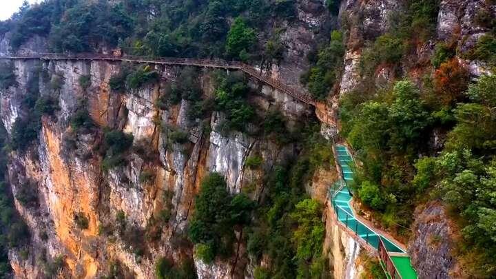 绿上新枝 岸生新景｜重庆丰都：守着江岸种春天