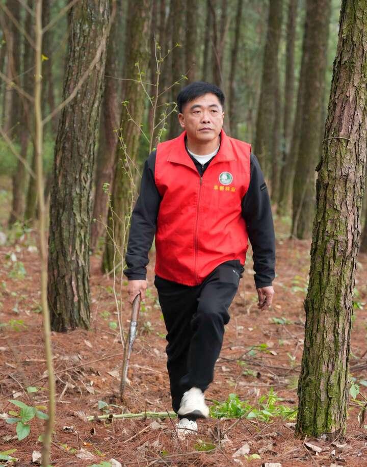 绿上新枝 岸生新景｜重庆丰都：守着江岸种春天