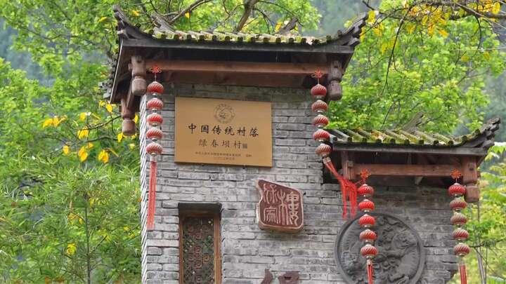 绿上新枝 岸生新景｜重庆丰都：守着江岸种春天