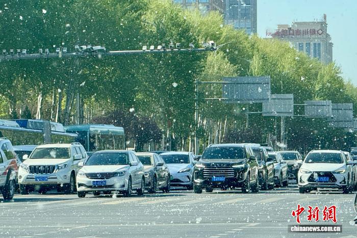 宁夏银川创新“五步法”治理杨柳飞絮 4800余名环卫人员全力攻坚