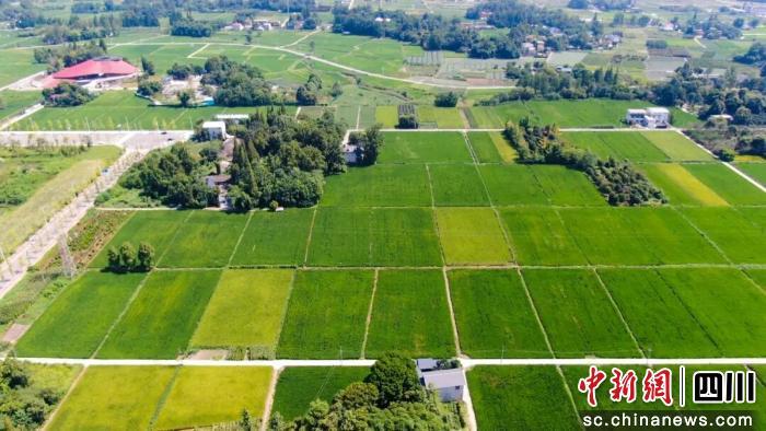 郫都宜居宜业和美乡村先行片区成全省乡村建设“标杆样本”