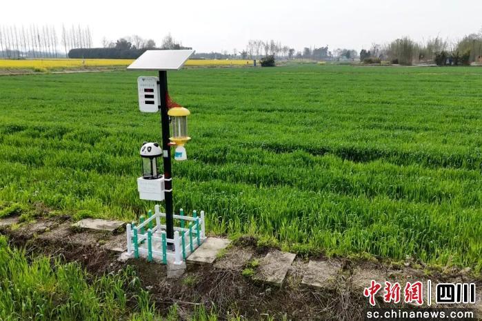 郫都宜居宜业和美乡村先行片区成全省乡村建设“标杆样本”