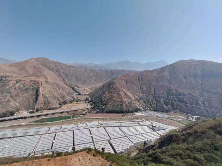 沪滇携手种下“致富果” 东川蓝莓走出资源枯竭转型新路