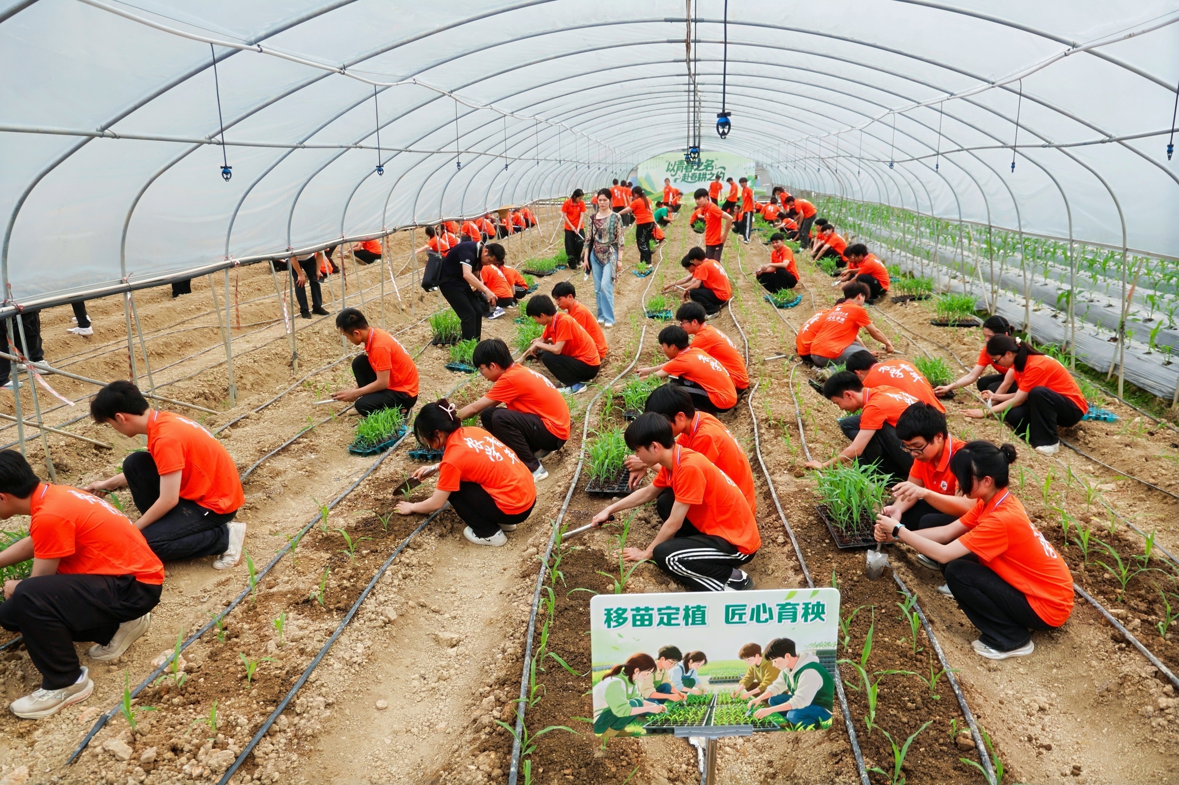 广西农业职业技术大学“三月三”主题活动启幕