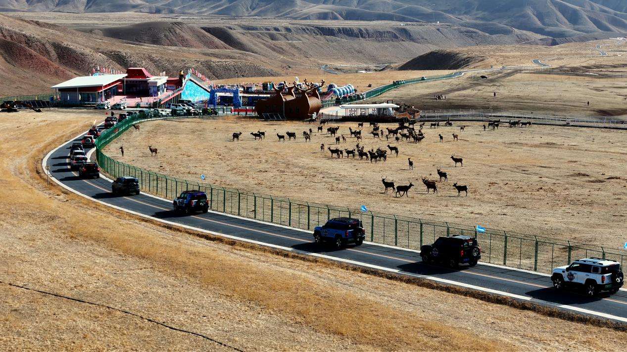 甘肃肃南：百车自驾穿越祁连山9号路