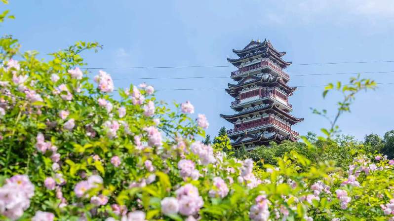 全力备战德国世锦赛 2026年全国毽球锦标赛在成都简阳开赛