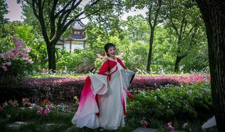 艺术研究 | 黄梅戏电影《东坡》的艺术新高度