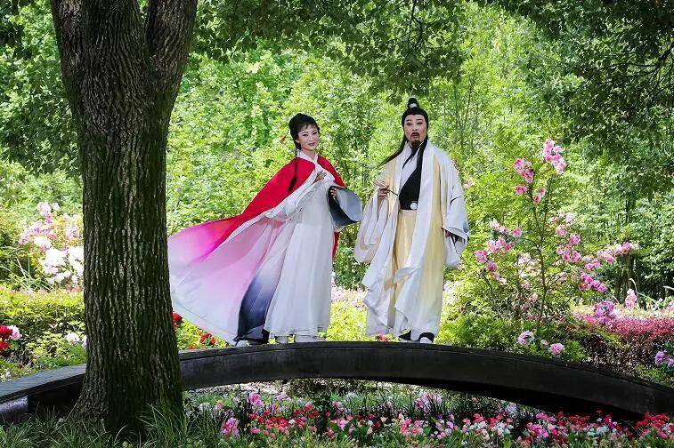 艺术研究 | 黄梅戏电影《东坡》的艺术新高度