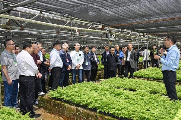 与会人员参观人工仿野生种植示范基地。扈鑫摄